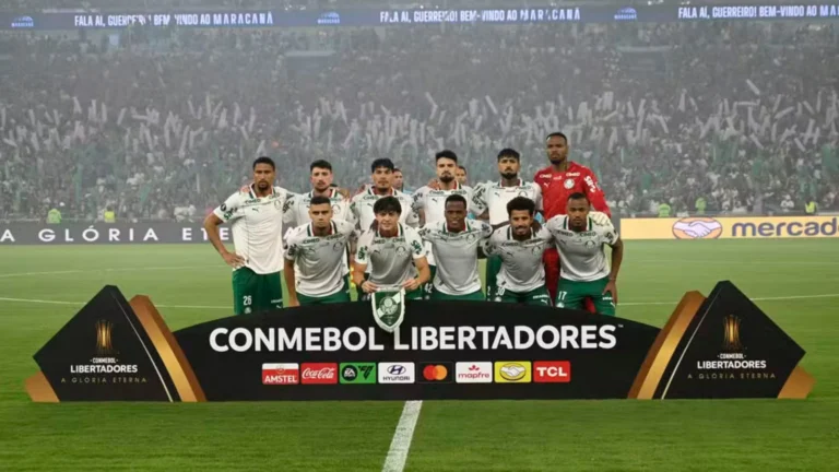 verdão 
